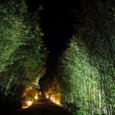 Caminho iluminado