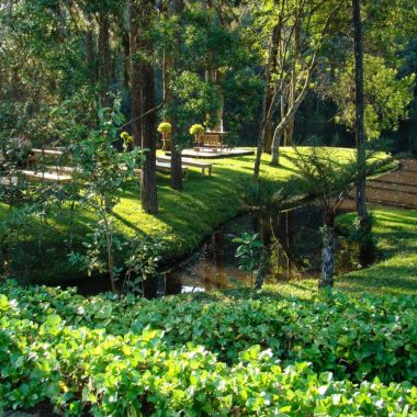 Vista do jardim