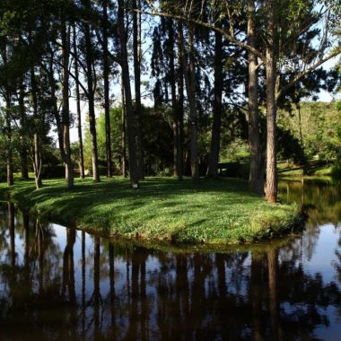 Espaço Serra do Mar